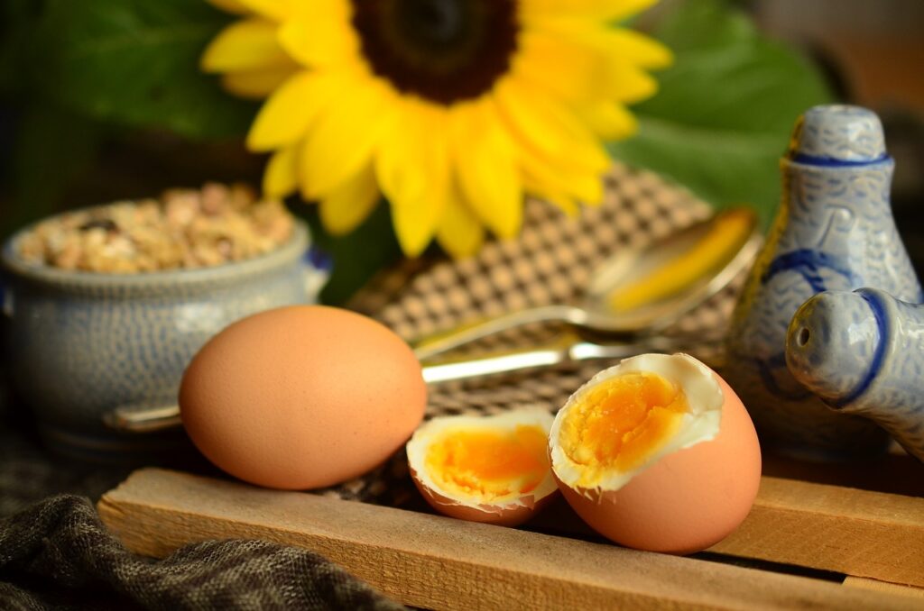 eggs, egg yolk, boiled egg-869300.jpg