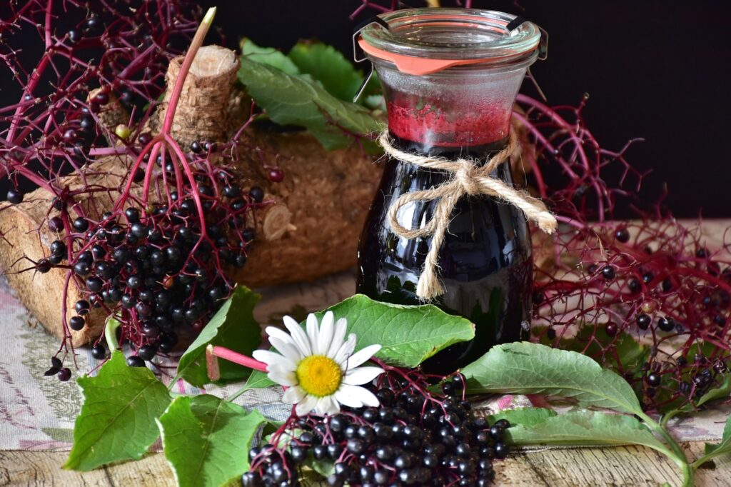 elder, elderberries, berry-2652570.jpg