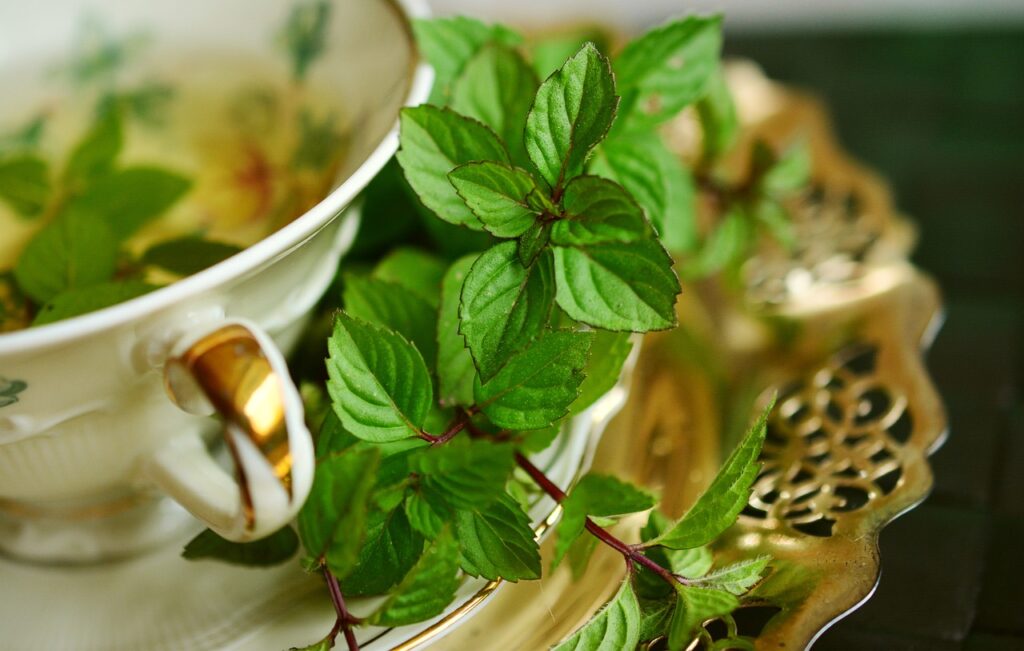 peppermint, peppermint tea, mint-2815679.jpg