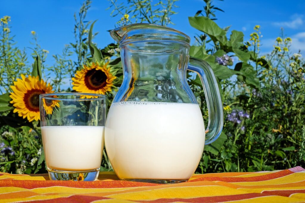 milk, glass, pitcher-2474993.jpg