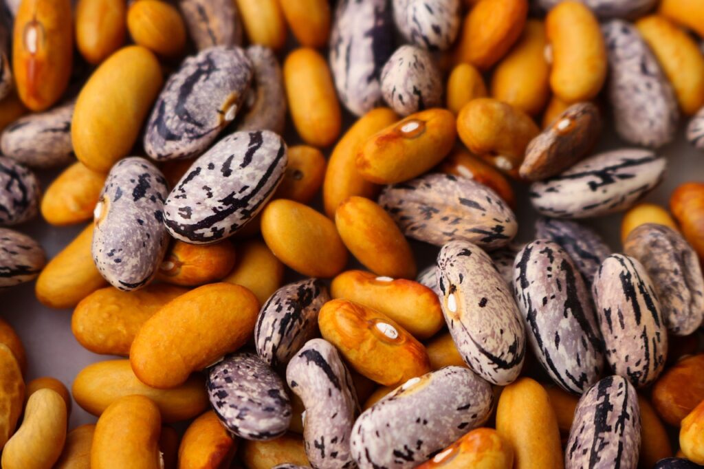 beans, haricot, dry-1593833.jpg