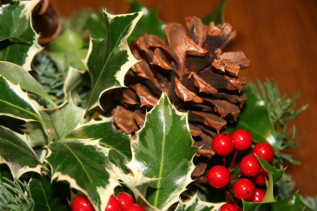 pine cone, holly, decoration-4906060.jpg