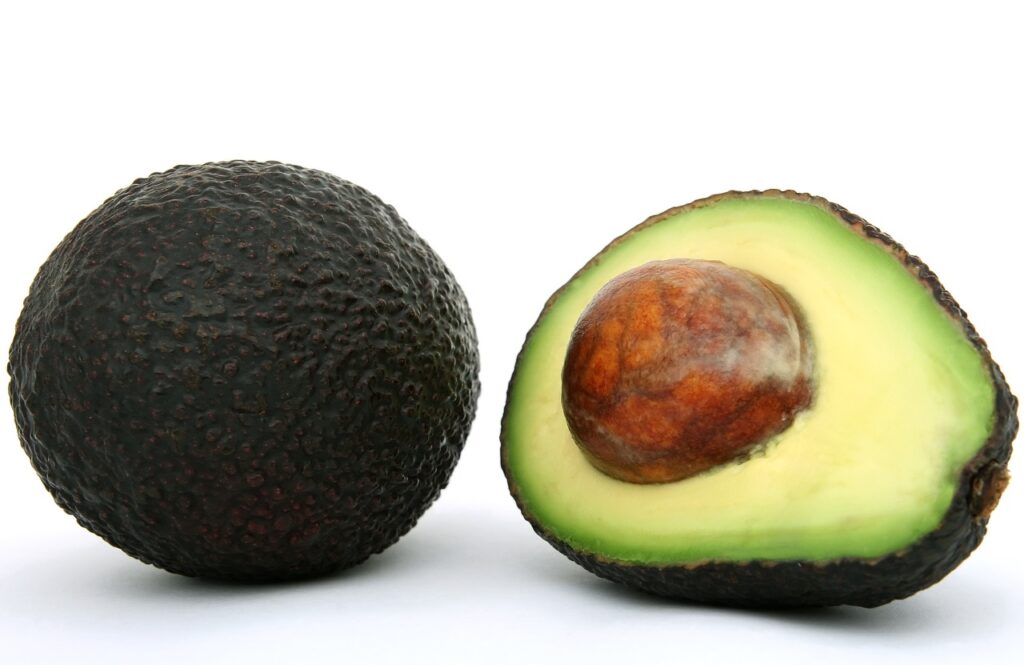 appetite, avacado, avo-1238256.jpg