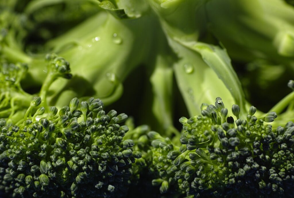 broccoli, organic, food-1792236.jpg