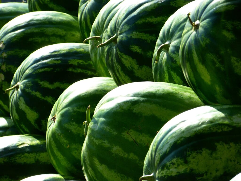 melons-water-melons-fruit-green-59830-59830.jpg