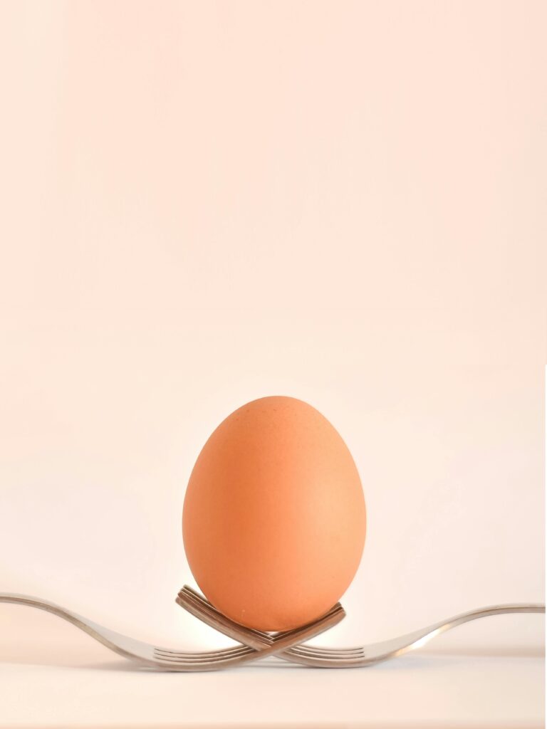 A single egg poised atop crossed forks, highlighting simplicity in a minimalist style.